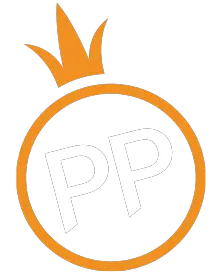 PP电子-PP电子游戏平台-中国PP电子官网